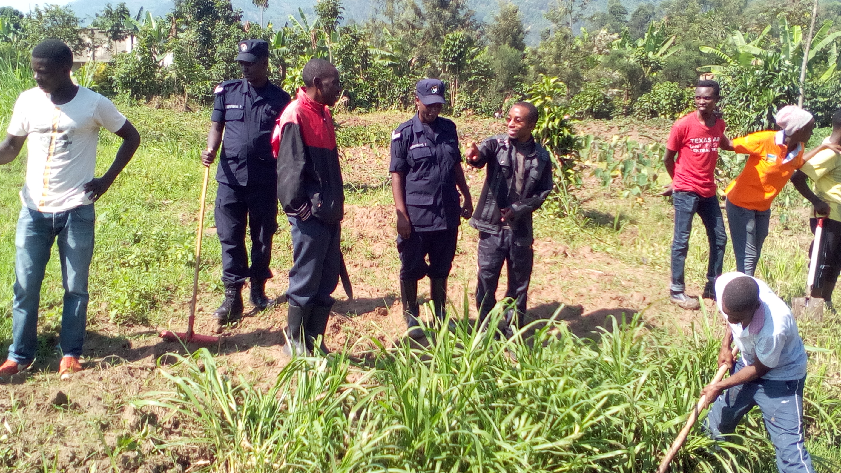 IMG_20160319_093645-1